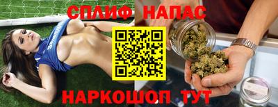 Альфа ПВП Будённовск