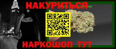 Альфа ПВП Будённовск