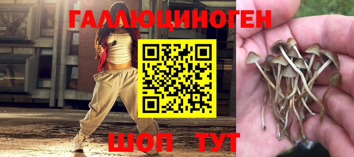 Псилоцибиновые грибы Psilocybine cubensis Югорск